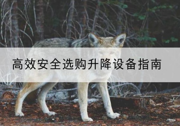 长阳升降货梯厂家推荐-*安全选购升降设备指南