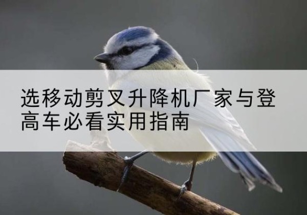 长阳电动升降机厂家-选移动剪叉升降机厂家与登高车必看实用指南