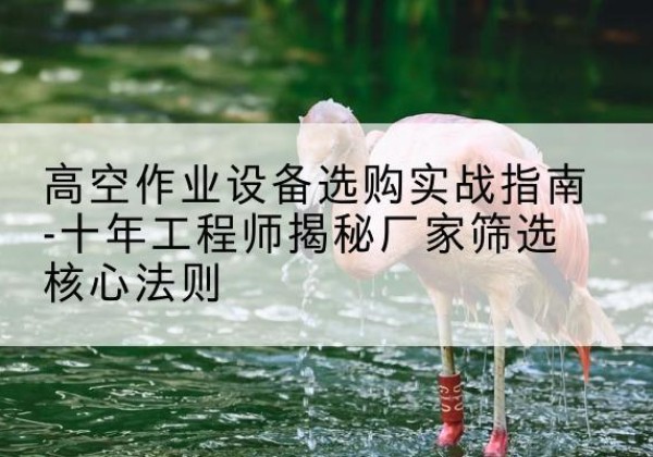 长阳剪叉式升降机厂家-高空作业设备选购实战指南-十年工程师揭秘厂家筛选核心法则
